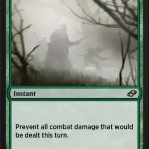 Fog
