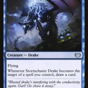 Stormchaser Drake