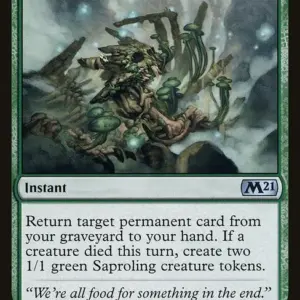 Fungal Rebirth