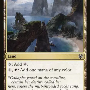Unknown Shores