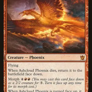 Ashcloud Phoenix