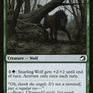Snarling Wolf