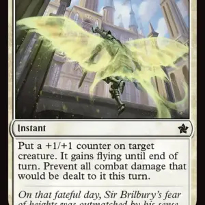 Fleeting Flight