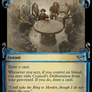 Council's Deliberation