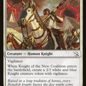 Knight of the New Coalition