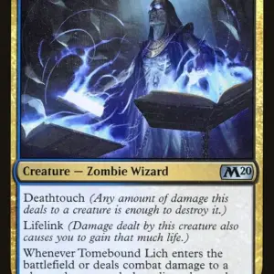 Tomebound Lich