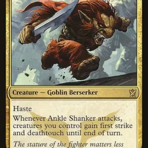 Ankle Shanker