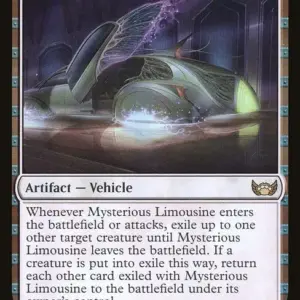Mysterious Limousine