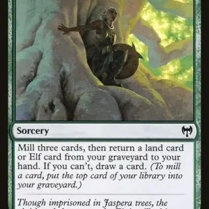 Roots of Wisdom