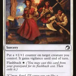 Homestead Courage