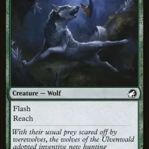 Bounding Wolf