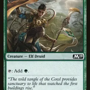 Druid of the Cowl
