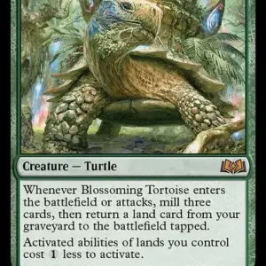 Blossoming Tortoise