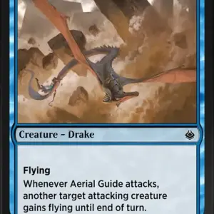 Aerial Guide