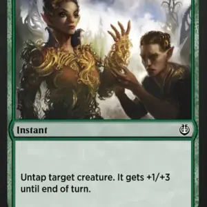 Ornamental Courage