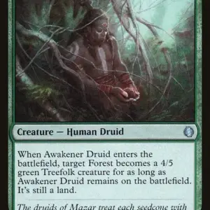 Awakener Druid
