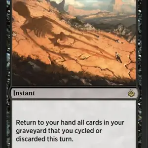 Shadow of the Grave