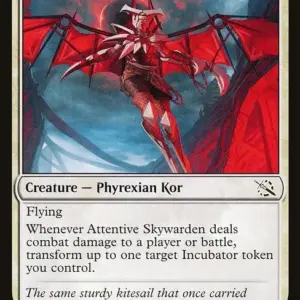Attentive Skywarden