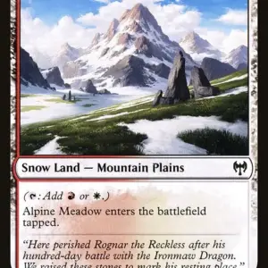 Alpine Meadow