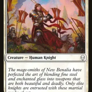 Knight of New Benalia