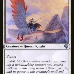 Coalition Skyknight
