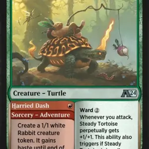 Steady Tortoise // Harried Dash