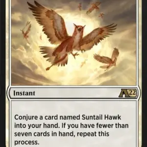 Suntail Squadron