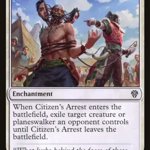 Citizen's Arrest