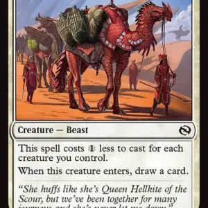 Salt Road Packbeast