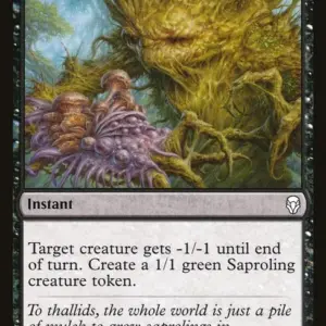 Fungal Infection