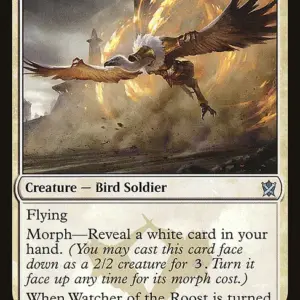 Watcher of the Roost