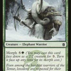 Woolly Loxodon