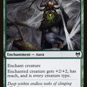 Arachnoform