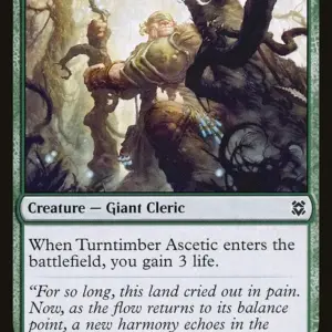 Turntimber Ascetic