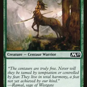 Centaur Courser