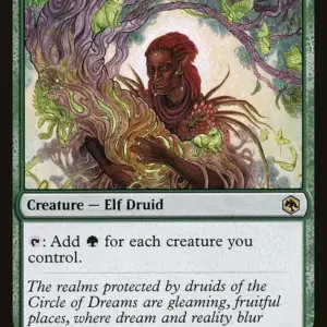 Circle of Dreams Druid