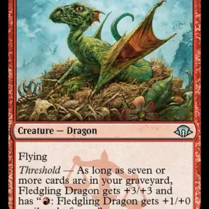 Fledgling Dragon