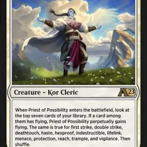 Priest of Possibility