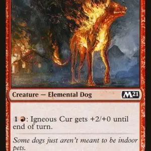 Igneous Cur