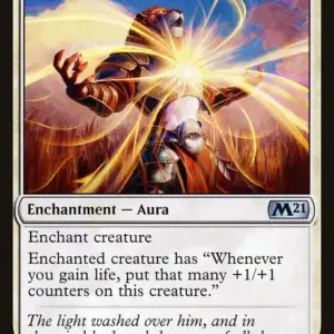 Light of Promise