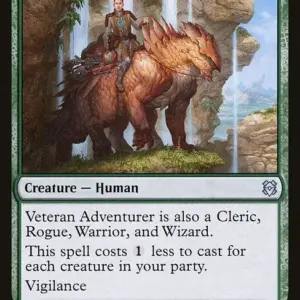 Veteran Adventurer