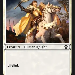 Faithbearer Paladin