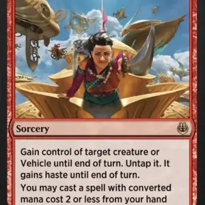 Kari Zev's Expertise