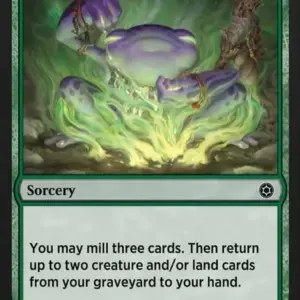 A-Druidic Ritual