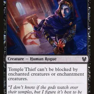 Temple Thief