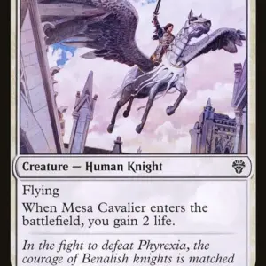 Mesa Cavalier
