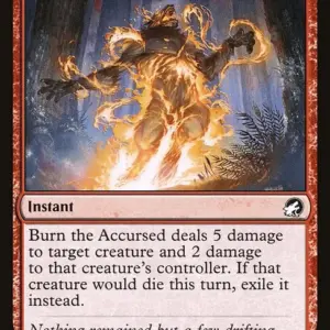 Burn the Accursed