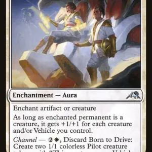 Born to Drive