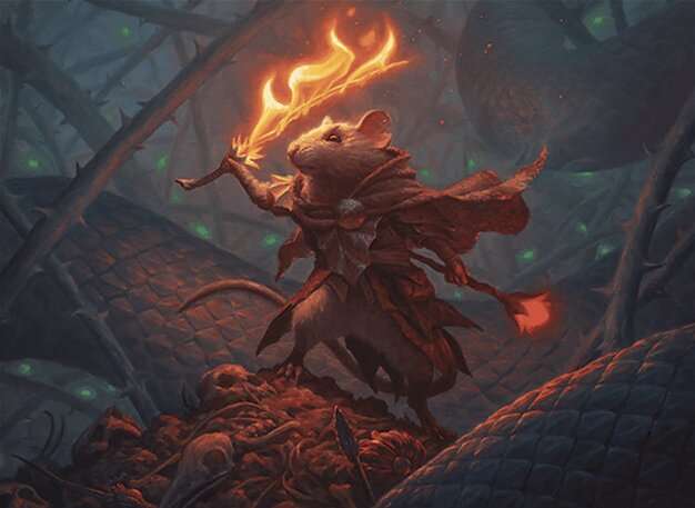 Boros Topi